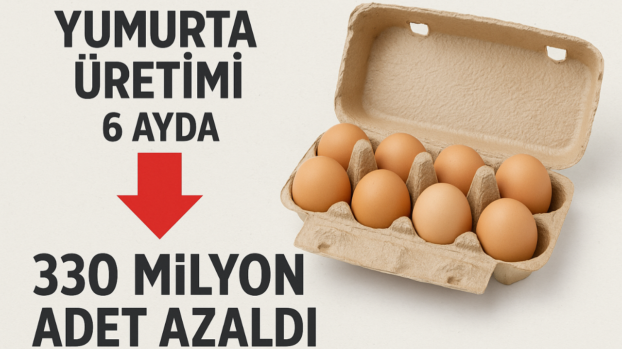 Üretim Her Ay Azalıyor: Yumurtada Tehlikeli Gidişat
