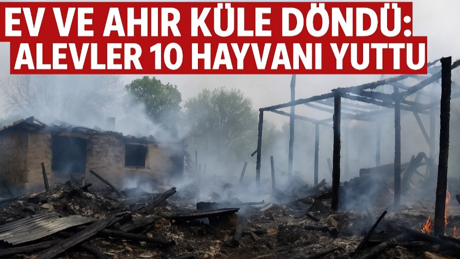 Ev ve Ahır Küle Döndü: Alevler 10 Hayvanı Yuttu!