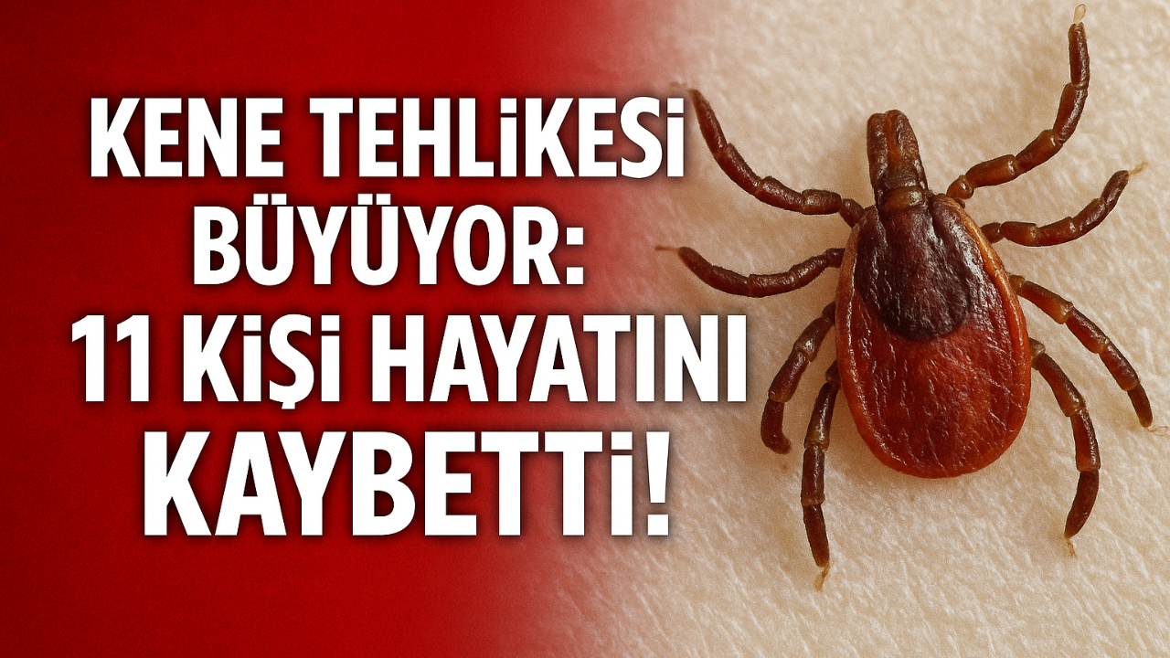 Kene Tehlikesi Büyüyor: 11 Kişi Hayatını Kaybetti!
