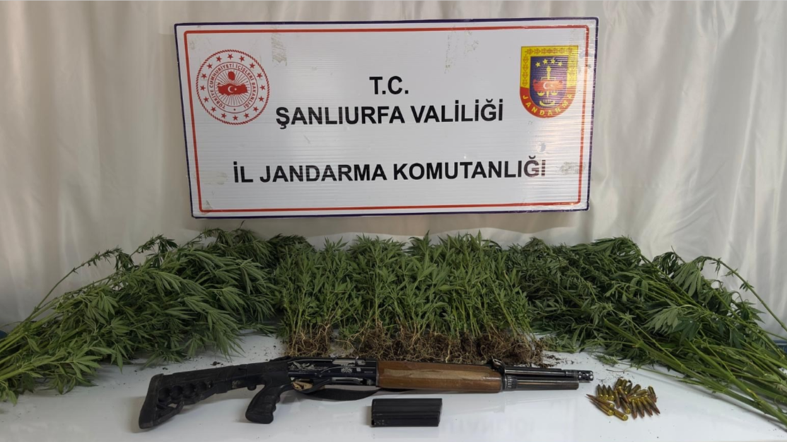 Şanlıurfa’da Uyuşturucu Operasyonu: Çok Sayıda Gözaltı