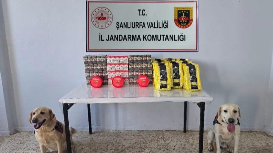 Şanlıurfa'da 3 Bin Paket Kaçak Sigara Ele Geçirildi