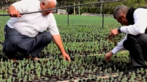 Oğlunun Anısına 1 Milyon Fidan Yetiştirdi!