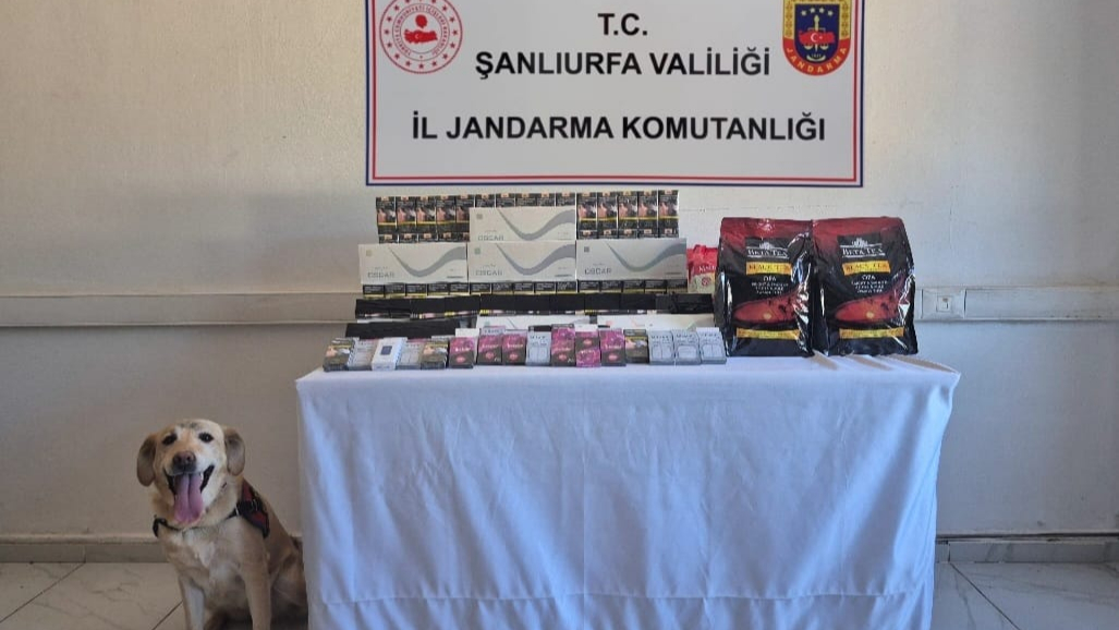 Şanlıurfa’da Kaçak Sigara ve Alkol Operasyonu