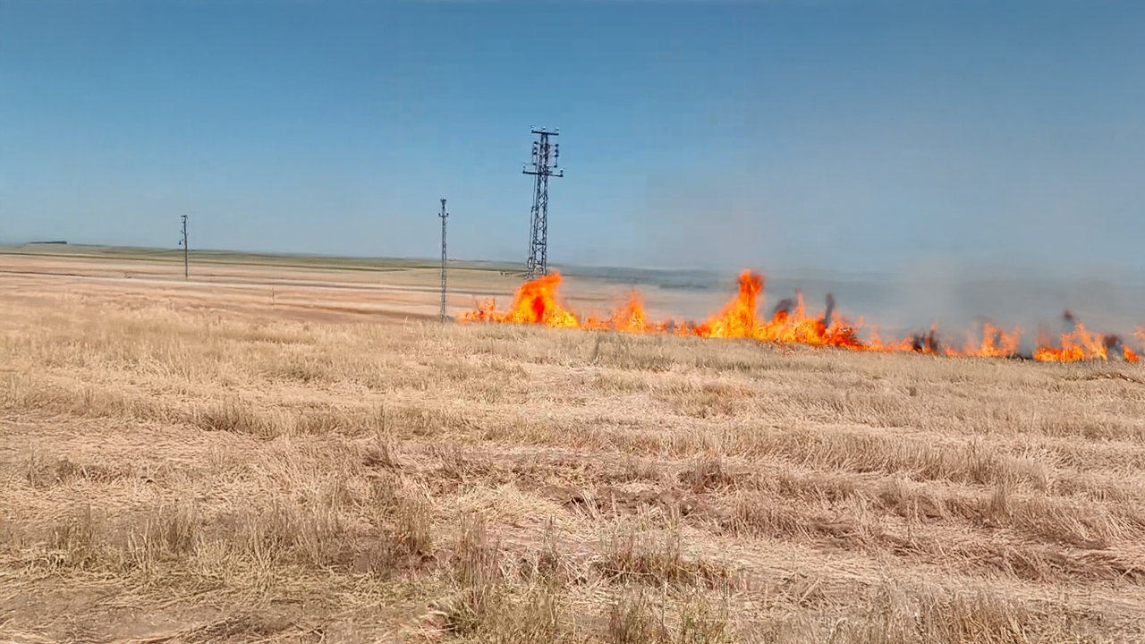 Karaali'de Elektrik Hatları Yangınlara Yol Açıyor İddiası
