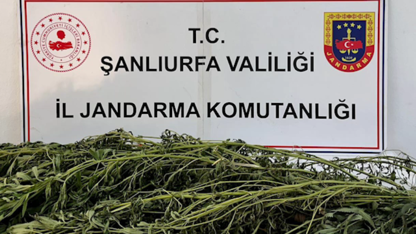 Şanlıurfa’da Narkotik Operasyonu