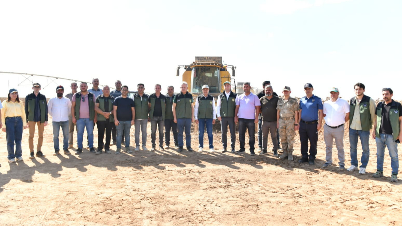 Vali Şıldak, Ceylanpınar’da Ayçiçeği Hasadına Katıldı