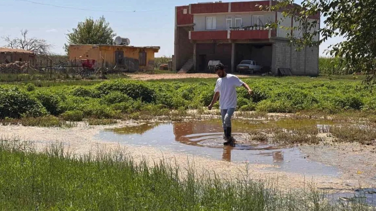 Suruç’ta Su Felaketi, Tarım Durdu!