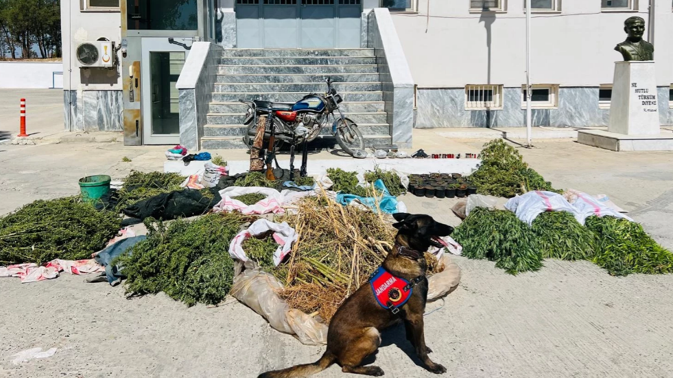Şanlıurfa’da Uyuşturucu Operasyonu