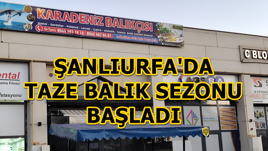 Şanlıurfa'da Taze Balık Sezonu Başladı