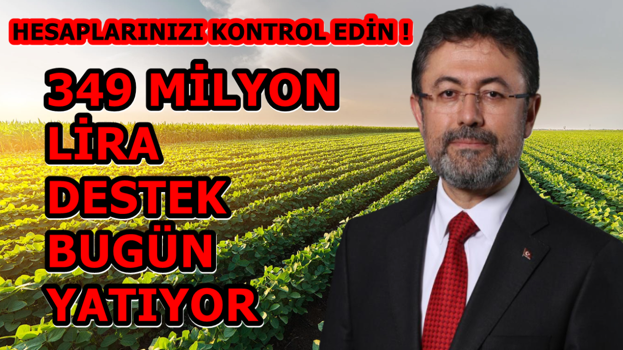 Çiftçilere 349 Milyon Lira Destek Bugün Yatıyor