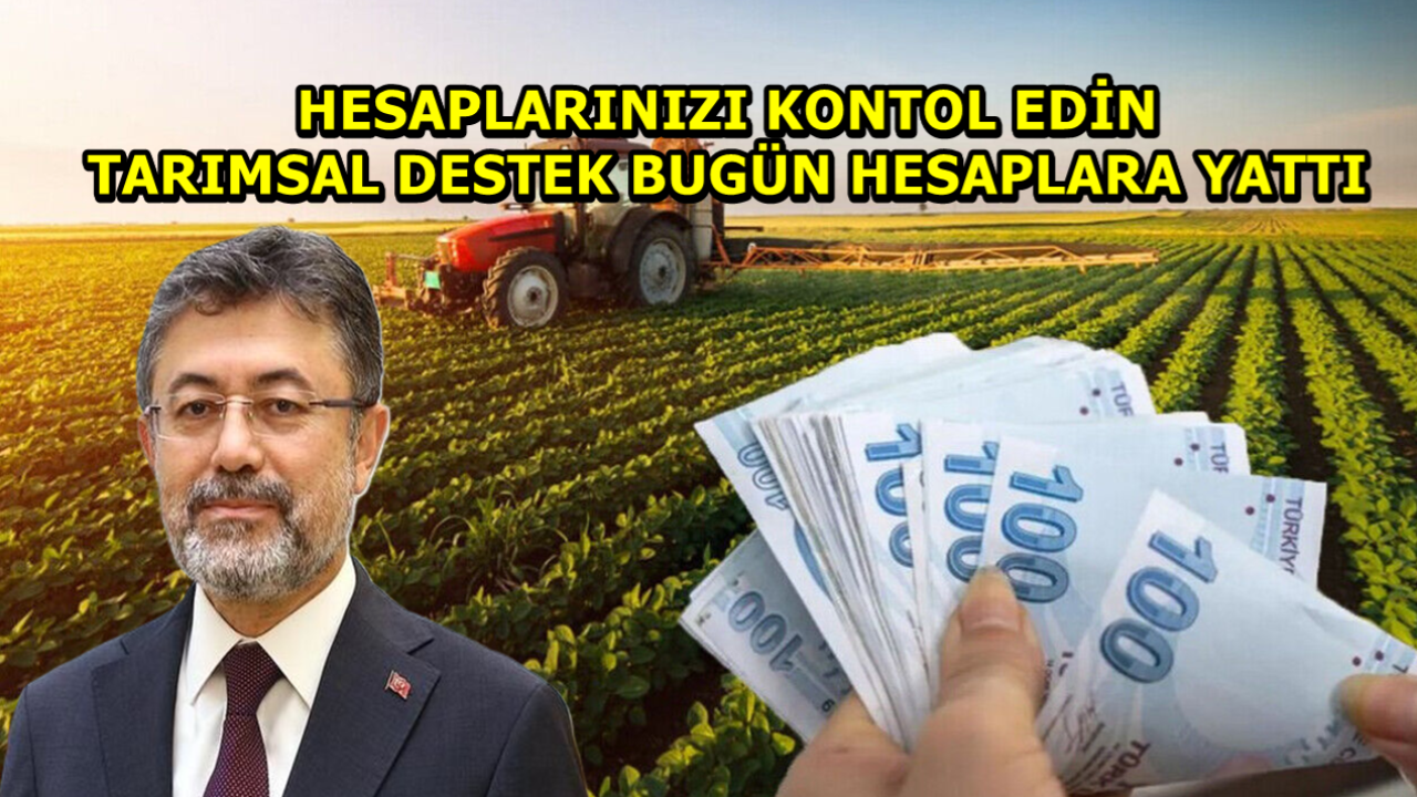 Hesaplarınızı Kontrol Edin! 320 Milyonluk Destek Bugün Yattı