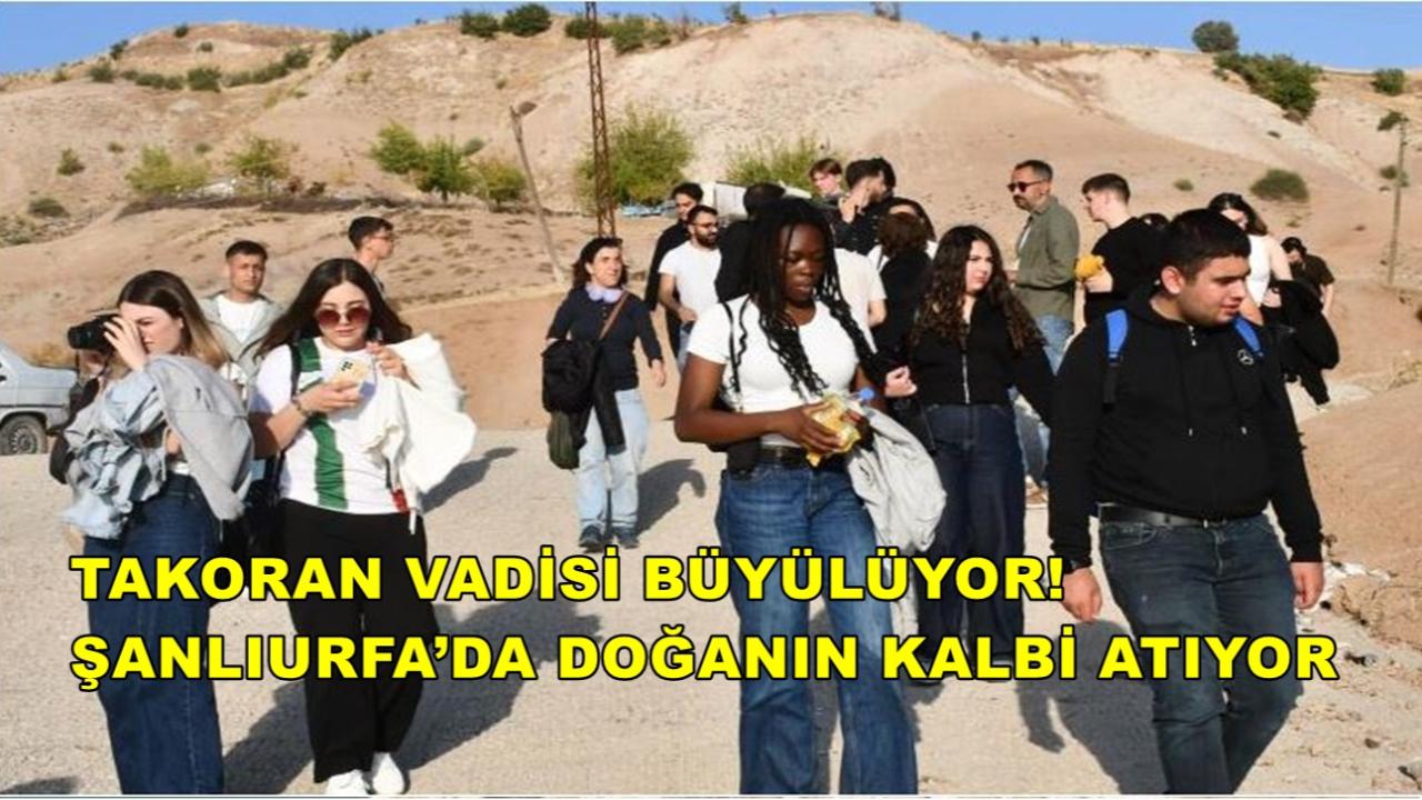 Takoran Vadisi Büyülüyor! Şanlıurfa’da Doğanın Kalbi Atıyor