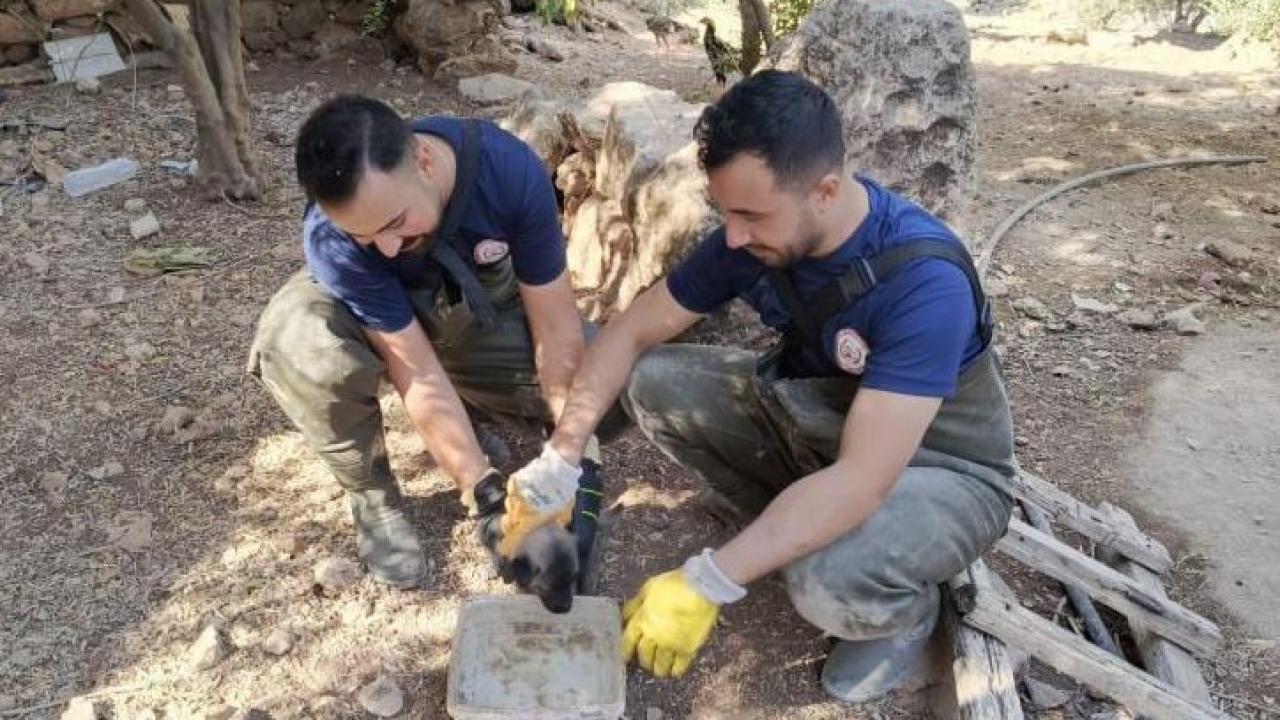 Şanlıurfa'da Çukura Düşen Minik Köpek Yavrusu Kurtarıldı