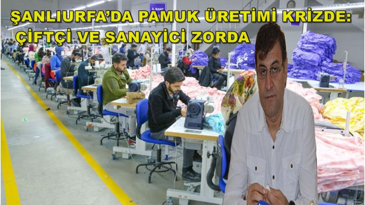Şanlıurfa’da Pamuk Üretimi Krizde: Çiftçi ve Sanayici Zorda