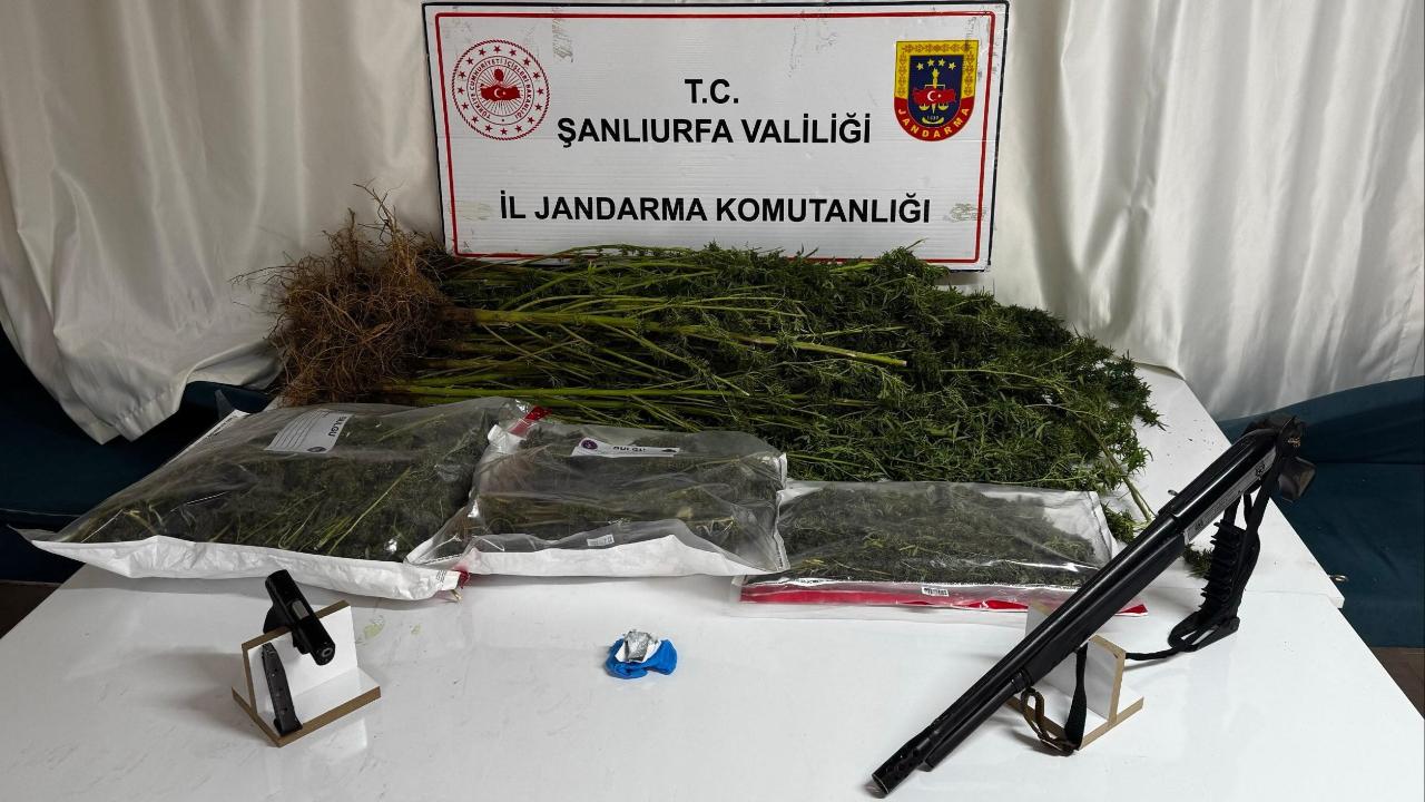 Şanlıurfa'da  Uyuşturucu Operasyonu: 1 Gözaltı