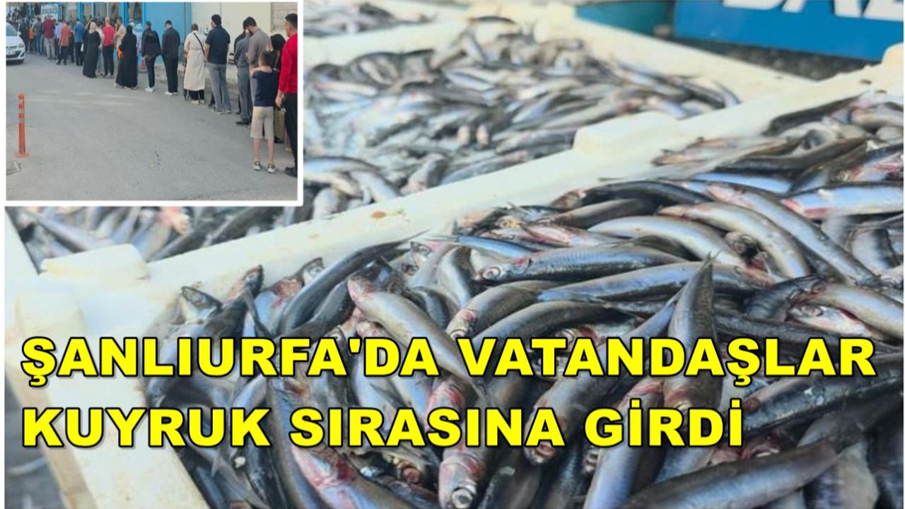 Şanlıurfa'da Vatandaşlar  Kuyruk Sırasına Girdi