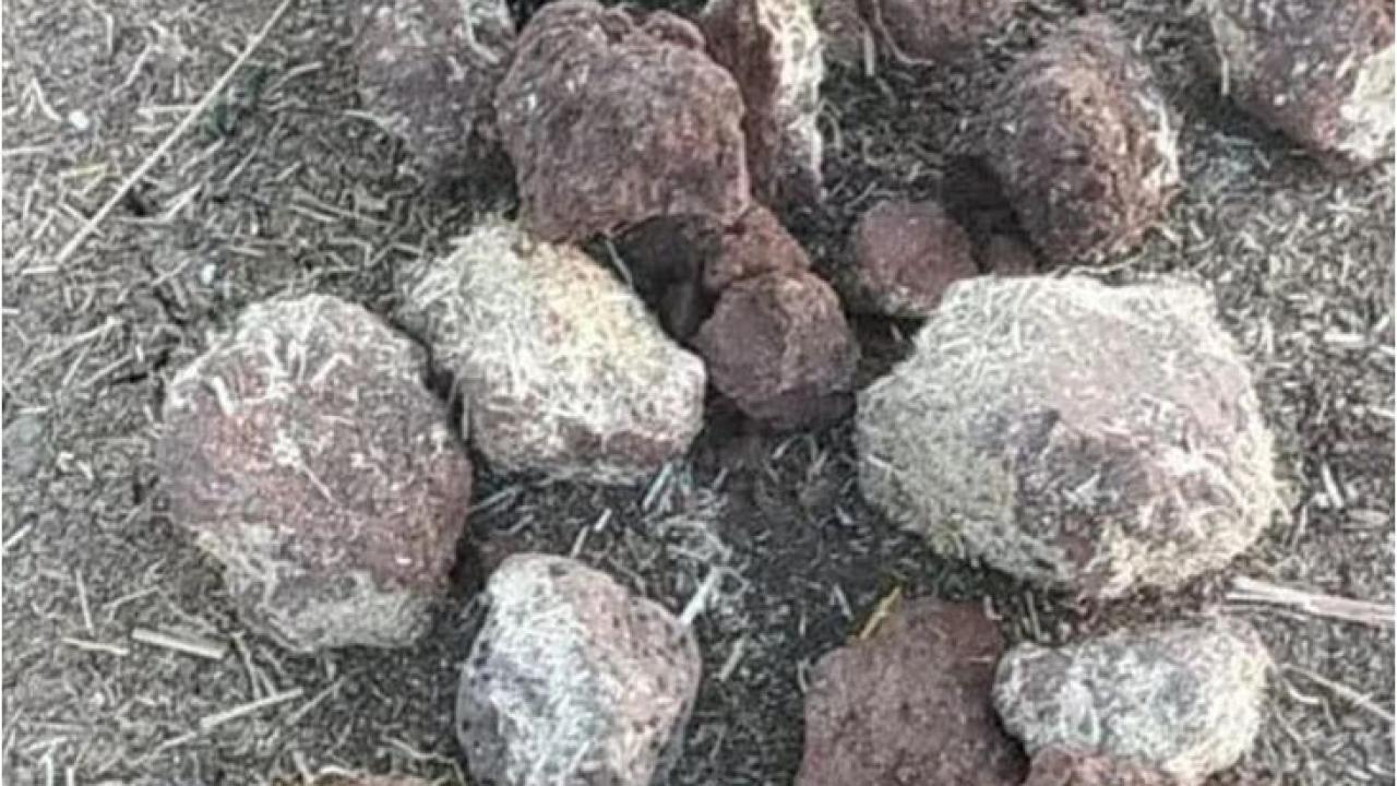 Üretici: ''Bizim İnsanlar Niye Bu Kadar Haram Yer Oldu?”