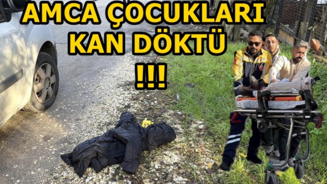 Amca Çocukları Arasında Kan Döküldü:Çatışmada Yaralılar Var!