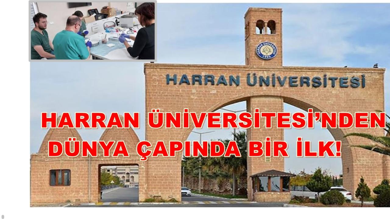 Harran Üniversitesi’nden Dünya Çapında Bir İlk!