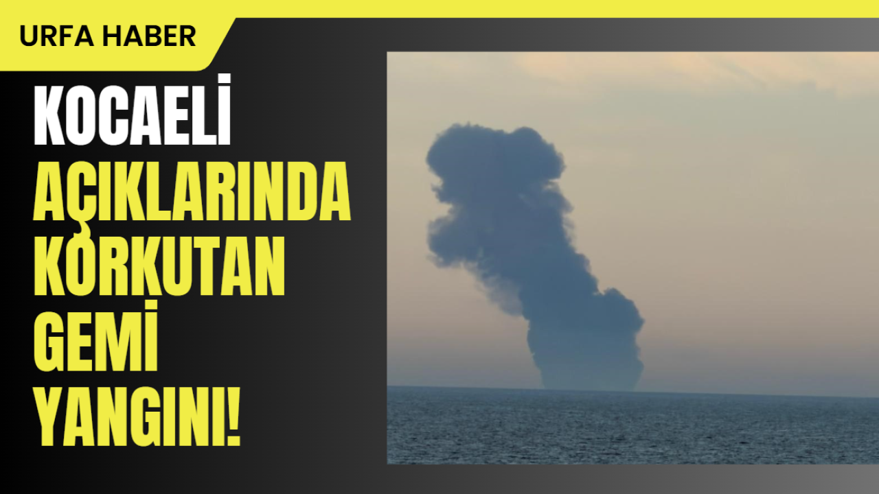 Kocaeli Açıklarında Korkutan Gemi Yangını!
