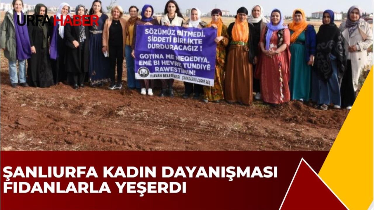 Şanlıurfa Kadın Dayanışması Fidanlarla Yeşerdi