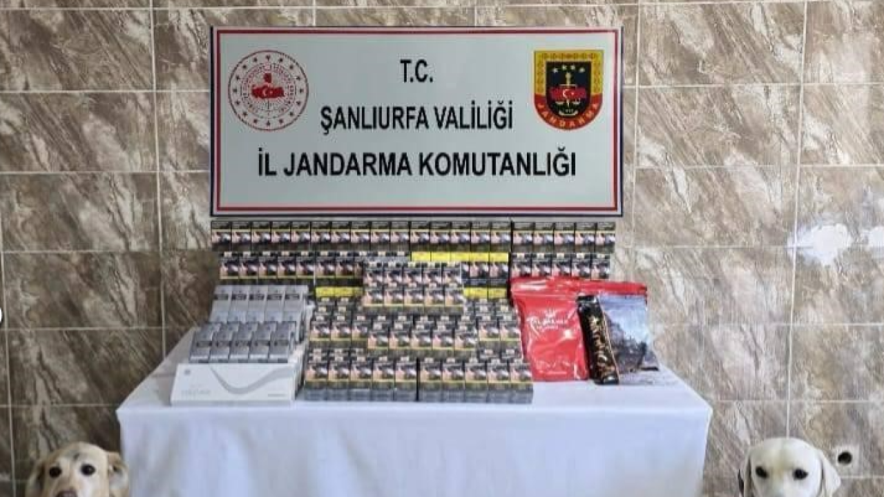 Şanlıurfa’da 5 bin Paket Kaçak Sigara Ele Geçirildi!