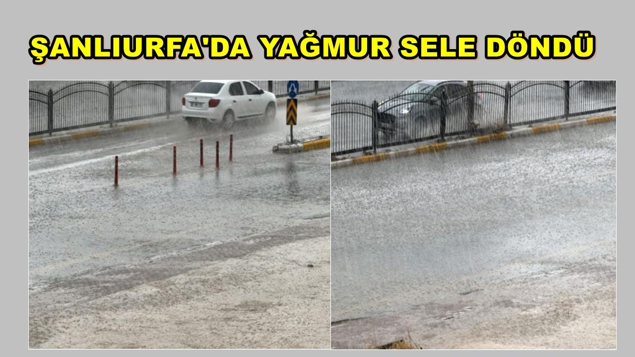 Şanlıurfa’da Yağmur Sele Döndü