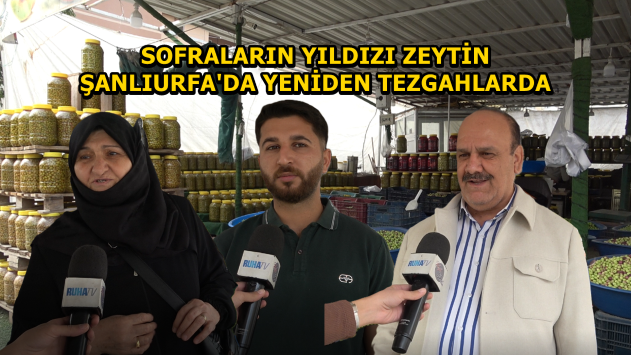 Sofraların Yıldızı Zeytin, Şanlıurfa'da Yeniden Tezgâhlarda