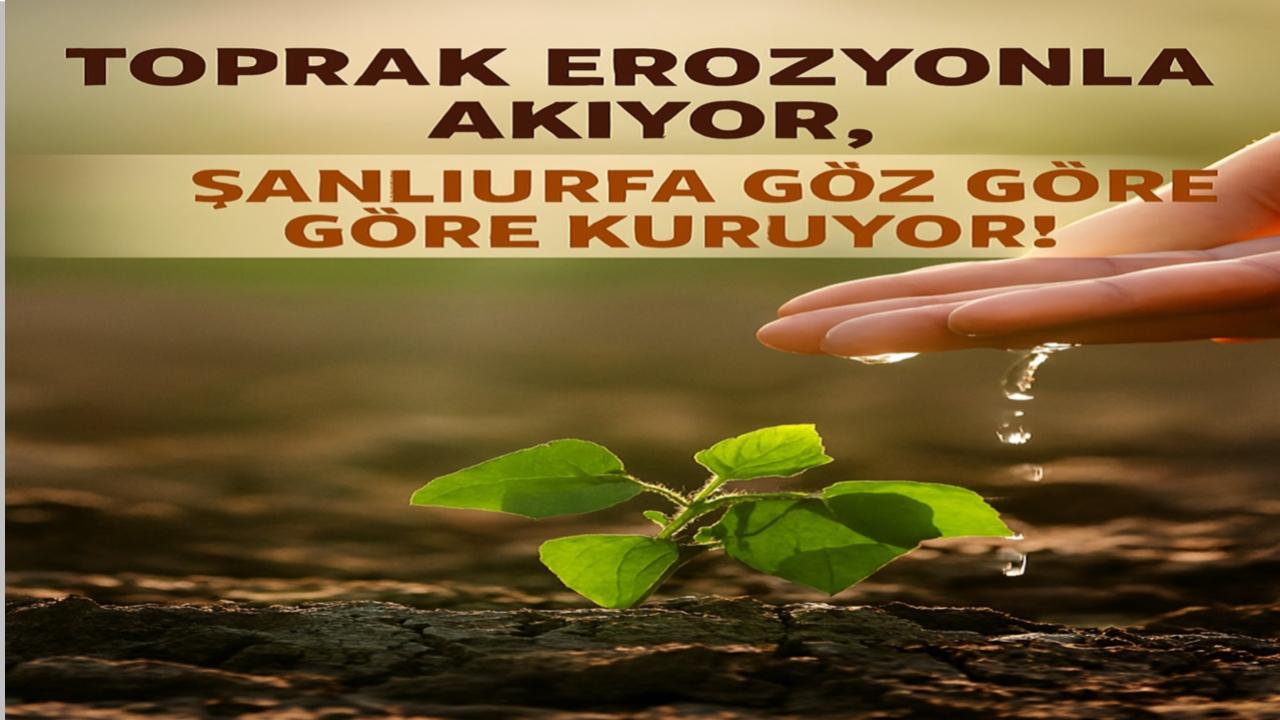 Toprak Erozyonla Akıyor, Şanlıurfa Göz Göre Göre Kuruyor!