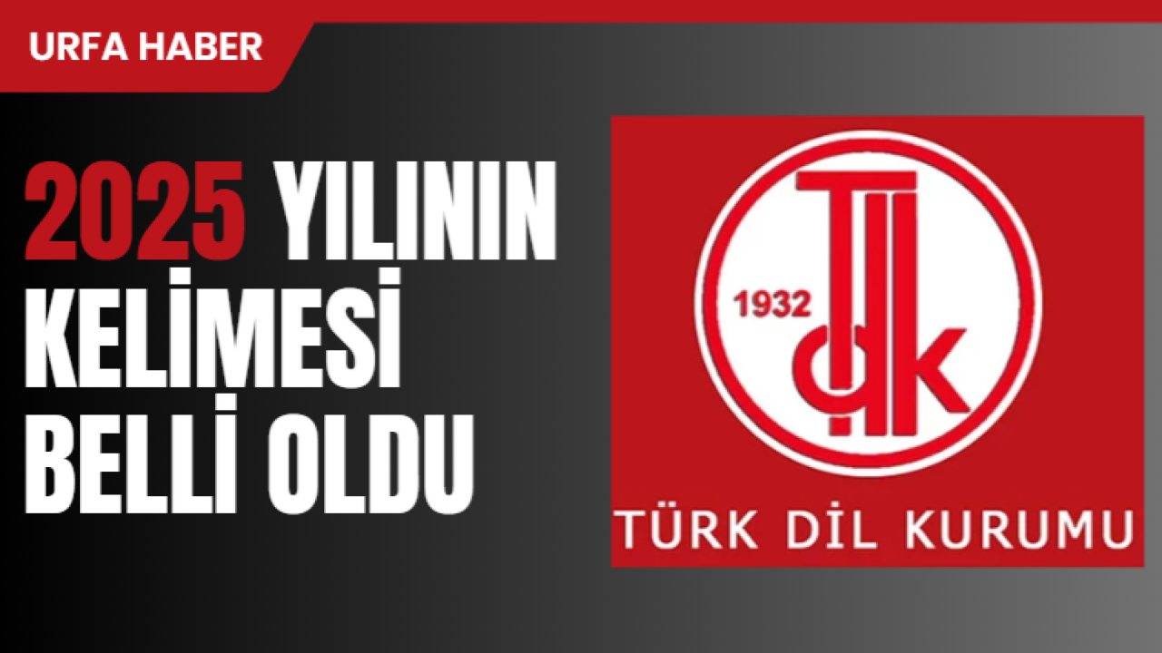 2025 Yılının Kelimesi Belli Oldu