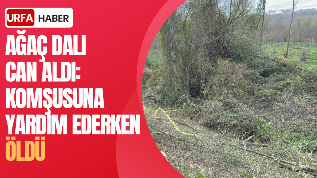 İyilik Sonu Oldu: Ağaç Dalı Kazası Samsun’da Can Aldı!