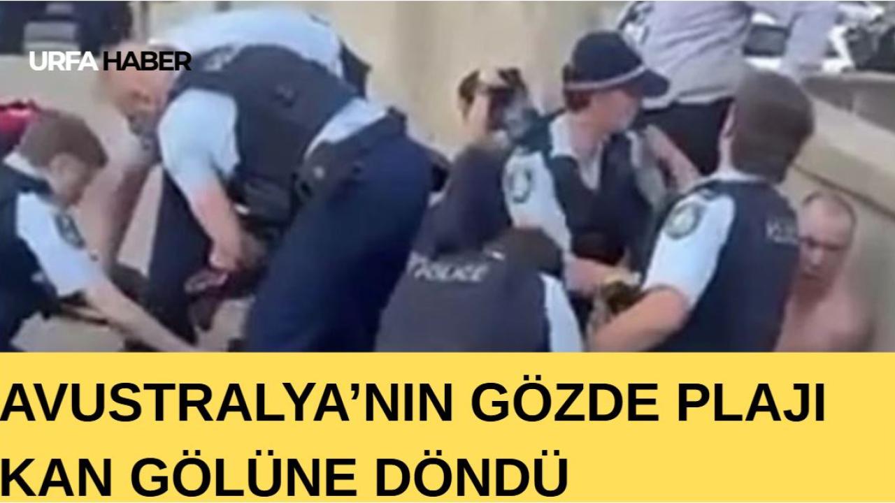Avustralya’nın Gözde Plajı Kan Gölüne Döndü