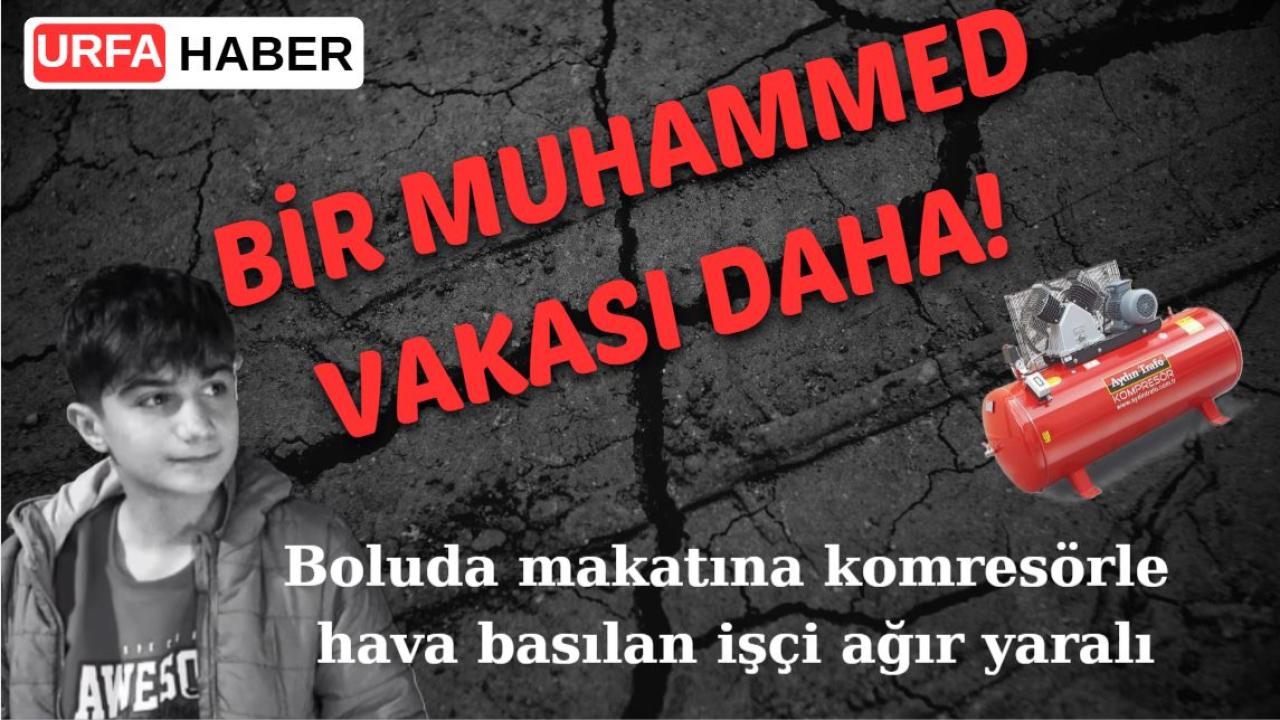 Bir Muhammed Vakası Daha! Bu Kez de Bolu'da Çocuğun Makatı..