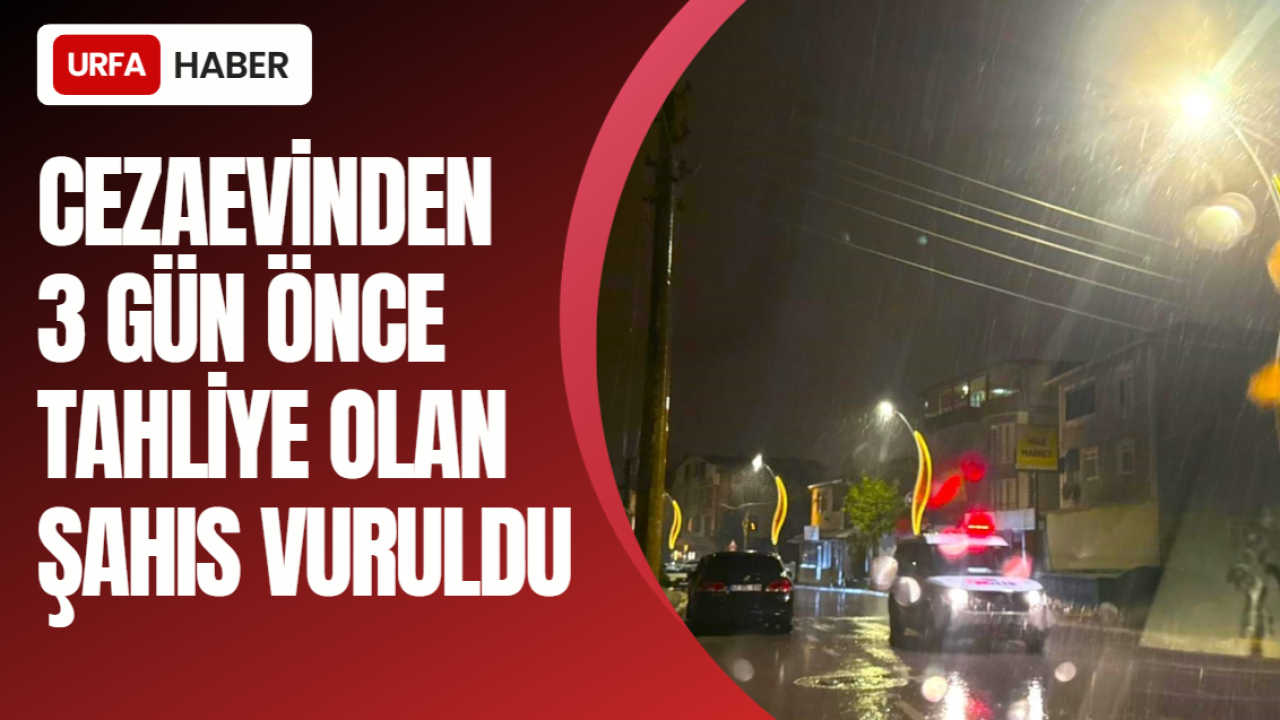 Cezaevinden 3 Gün Önce Tahliye Olan Şahıs Vuruldu