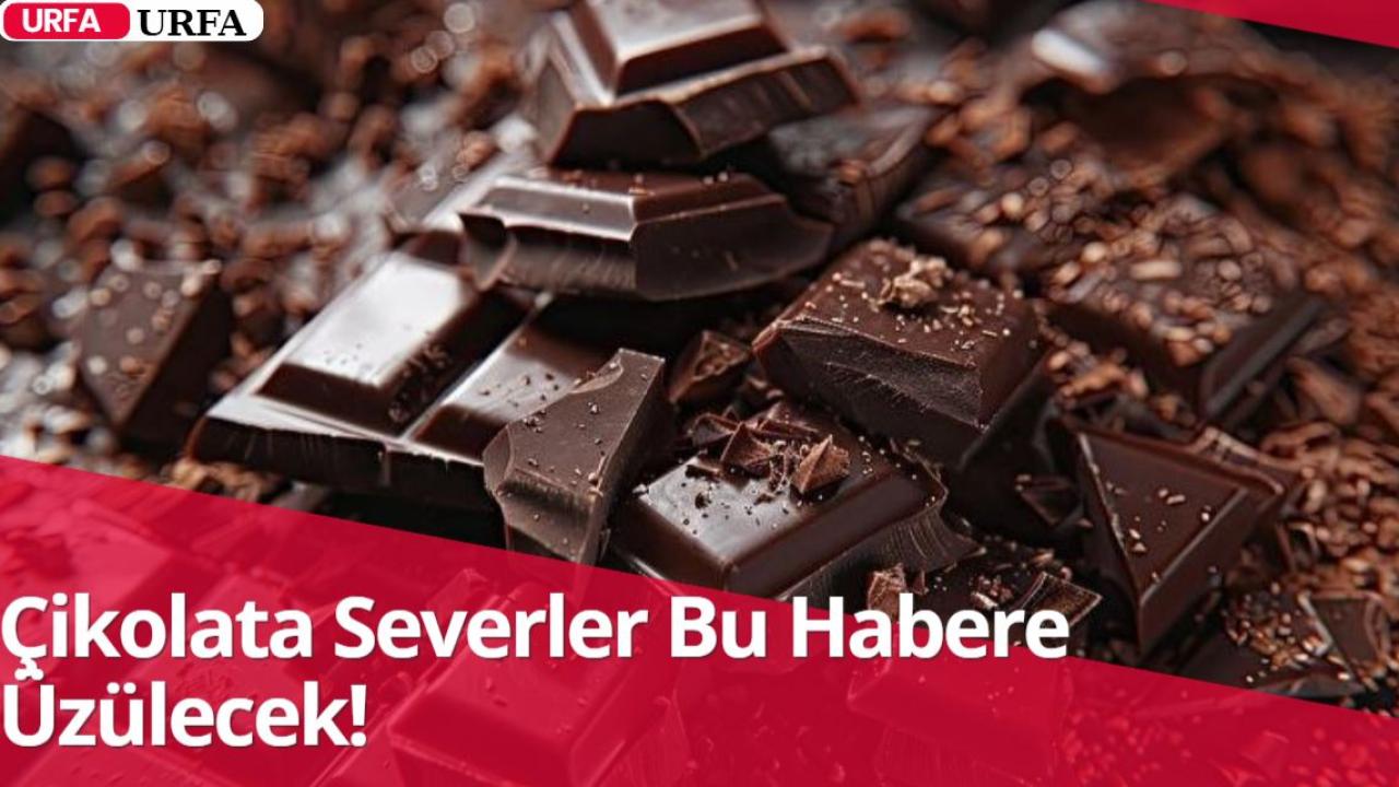 Çikolata Severler Bu Habere Üzülecek!