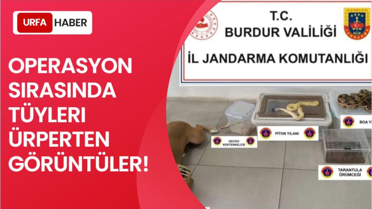 Operasyon Sırasında Tüyleri Ürperten Görüntüler!