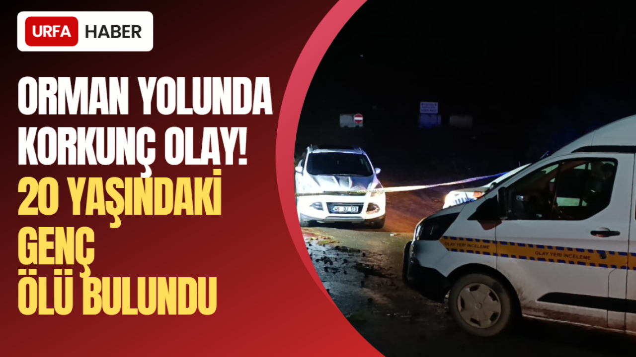 Orman Yolunda Korkunç Olay! 20 Yaşındaki Genç Ölü Bulundu