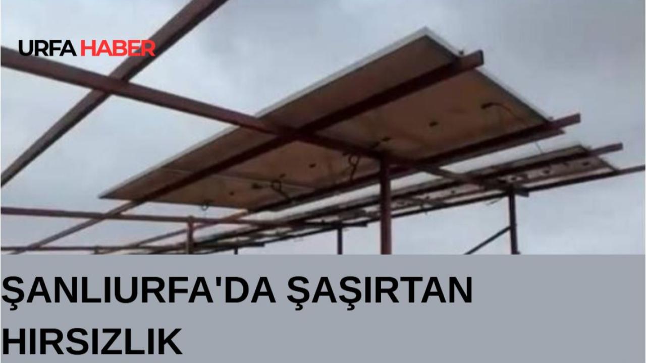Şanlıurfa' Da Şaşırtan Hırsızlık