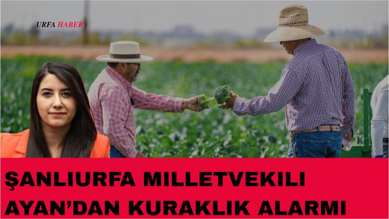 Şanlıurfa Milletvekili Ayan’dan Kuraklık Alarmı Mecliste