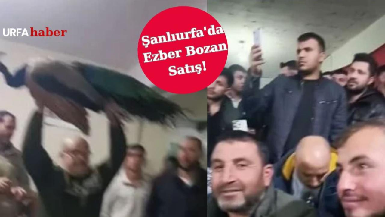 Şanlıurfa'da Ezber Bozan Satış: Herkesin İlgi Odağı Oldu!