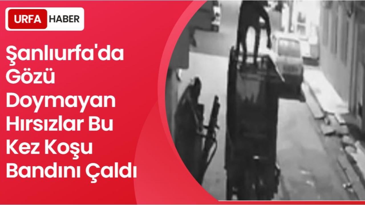 Şanlıurfa'da Gözü Doymayan Hırsızlar Bu Kez Koşu Bandını Çaldı