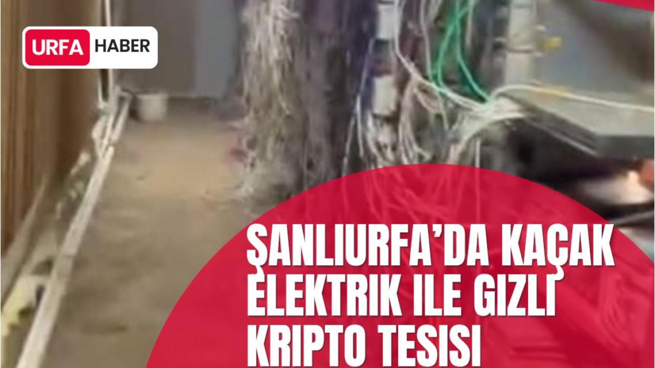 Şanlıurfa’da Kaçak Elektrik ile Gizli Kripto Tesisi
