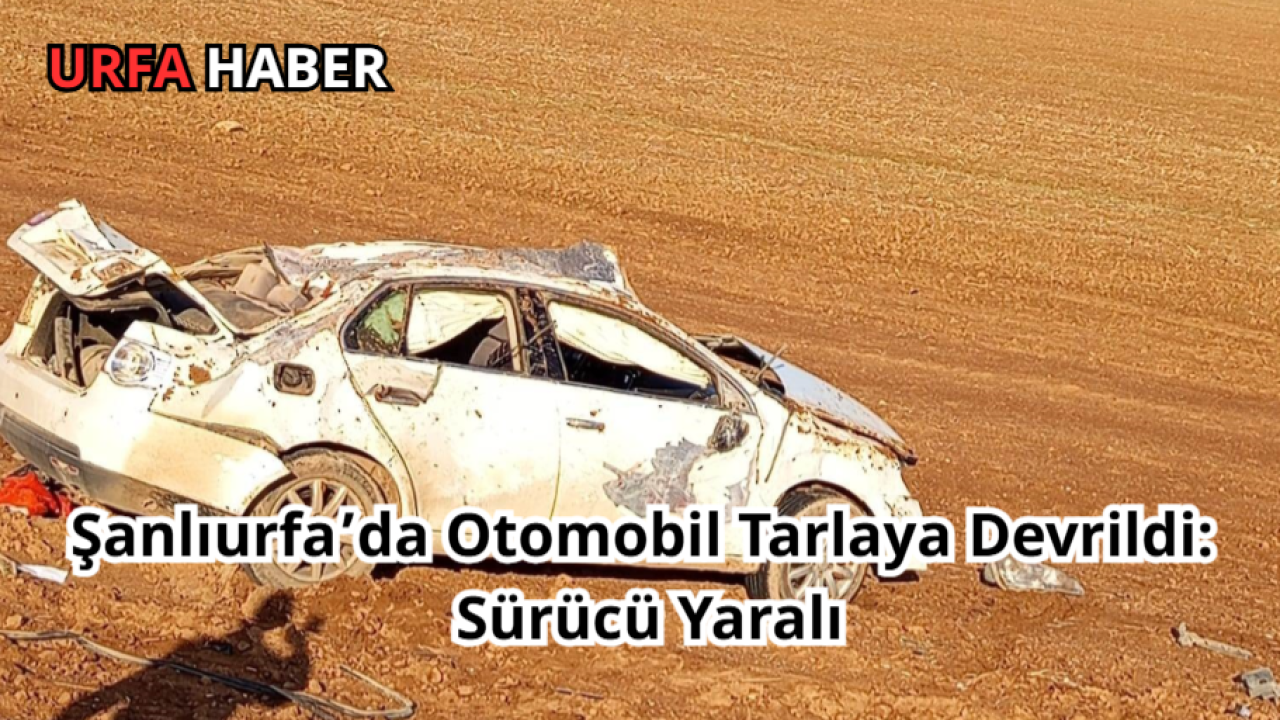 Şanlıurfa’da Otomobil Tarlaya Devrildi: Sürücü Yaralı