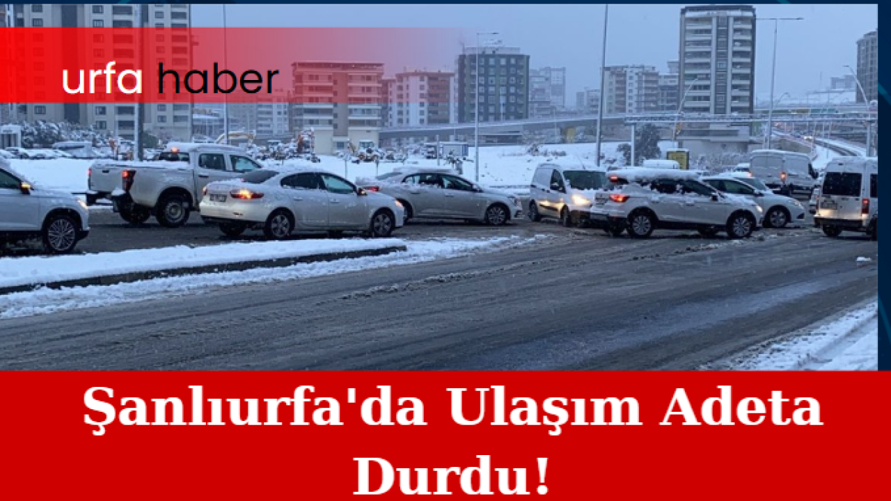 Şanlıurfa'da Ulaşım Adeta Durdu!