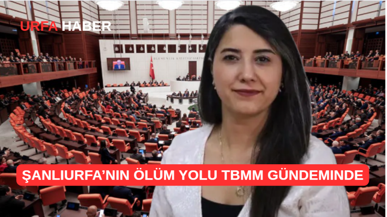 Şanlıurfa’nın Ölüm Yolu TBMM Gündeminde