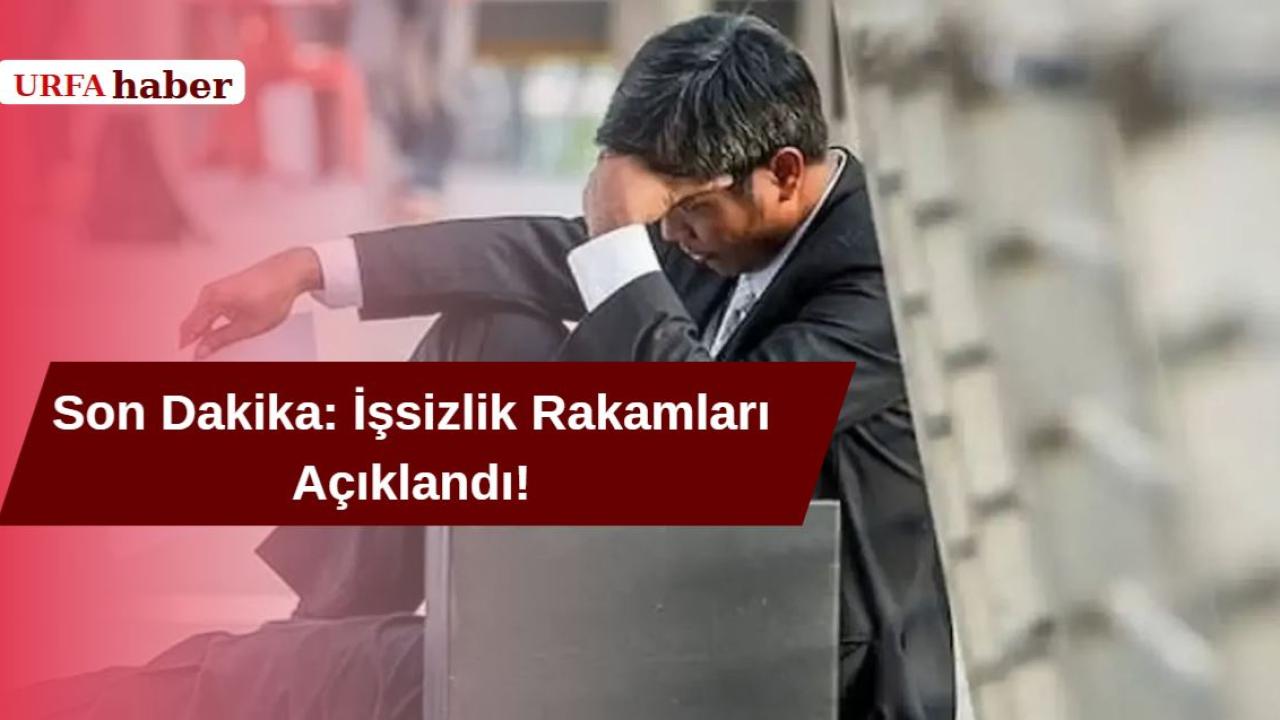 Son Dakika: İşsizlik Rakamları Açıklandı!