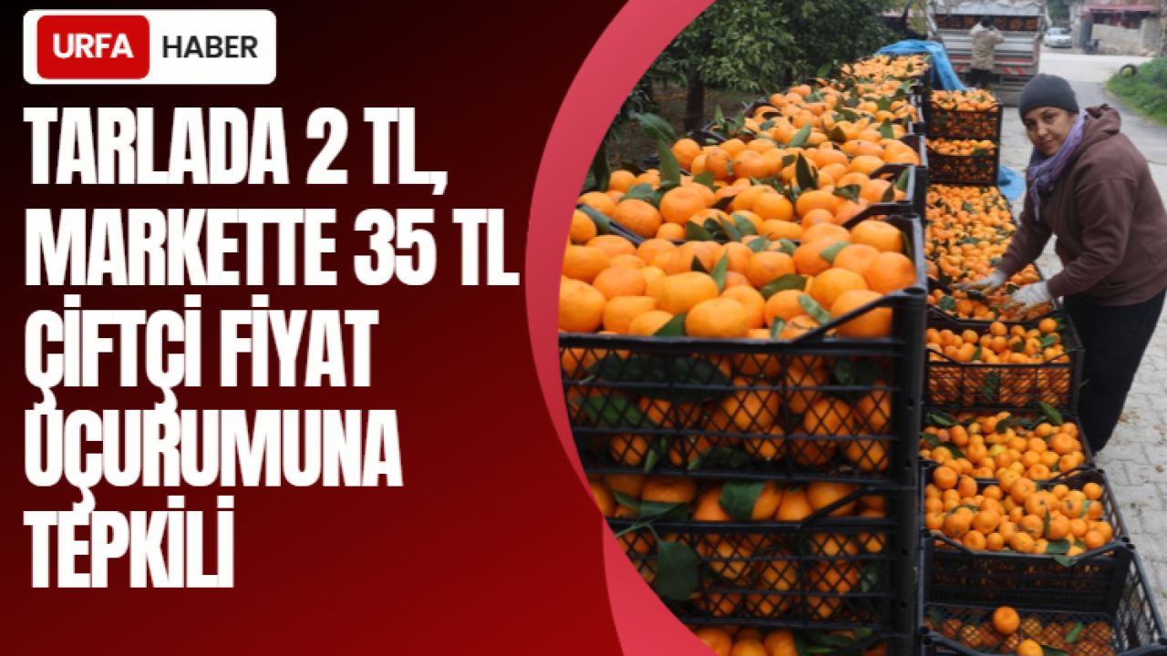 Tarlada 2 TL, Markette 35 TL: Çiftçi Fiyat Uçurumuna Tepkili