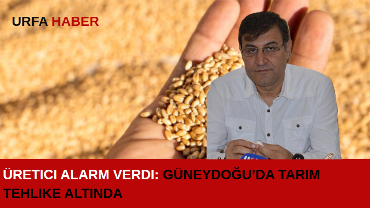 Üretici Alarm Verdi: Güneydoğu’da Tarım Tehlike Altında
