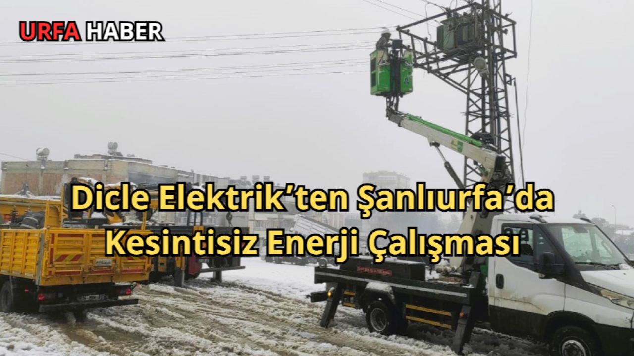 Dicle Elektrik’ten Şanlıurfa’da Kesintisiz Enerji Çalışması