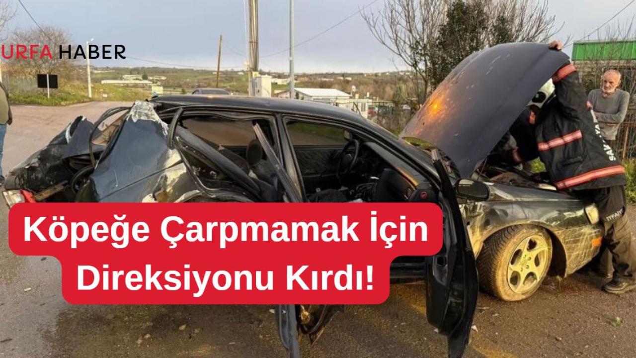 Köpeğe Çarpmamak İçin Direksiyonu Kırdı!
